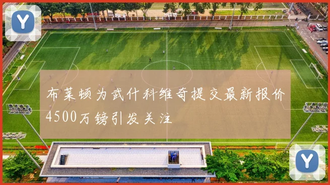 布莱顿为武什科维奇提交最新报价4500万镑引发关注