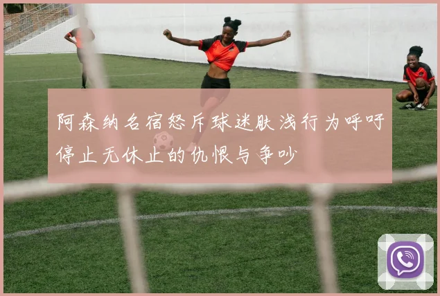 阿森纳名宿怒斥球迷肤浅行为呼吁停止无休止的仇恨与争吵