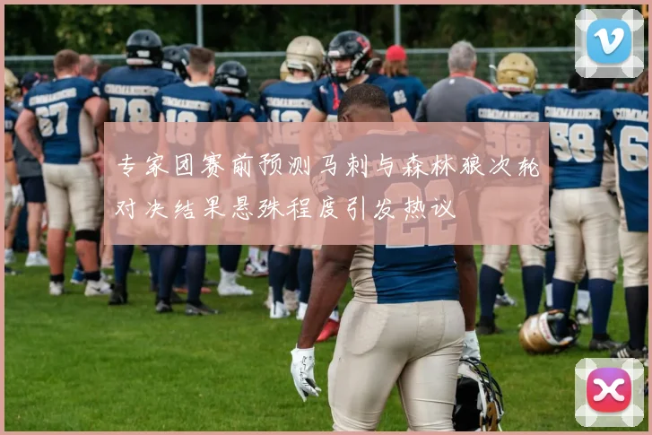 专家团赛前预测马刺与森林狼次轮对决结果悬殊程度引发热议